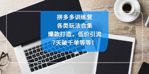 拼多多训练营:各玩法合集,爆款打造,低价引流,7天破千单等等!-司马网创基地