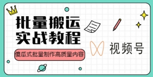 视频号批量搬运实战赚钱教程,傻瓜式批量制作高质量内容【附视频教程+PPT】-司马网创基地