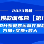 淘宝爆款训练营【第11期】 从0开始教你运营打爆款，方向+实操+放大