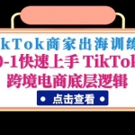 TikTok商家出海训练营：0-1快速上手 TikTok跨境电商底层逻辑