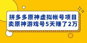 外面卖2980的拼多多原神虚拟帐号项目：卖原神游戏号5天赚了2万-司马网创基地