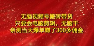 无脑视频号搬砖带货，只要会电脑剪辑，无脑干，亲测当天爆单赚了300多佣金-司马网创基地