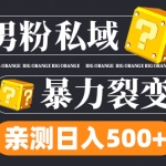 男粉私域项目：亲测男粉裂变日入500+（视频教程）