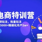 美团电商特训营：美团·店群玩法，无脑铺货月产出6000-15000+精细化月产2w+