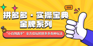 拼多多·实操宝典:金牌系列“小白到高手”带你全方位玩转拼多多各种玩法-司马网创基地