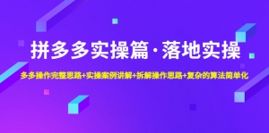 拼多多实操篇·落地实操 完整思路+实操案例+拆解操作思路+复杂的算法简单化-司马网创基地