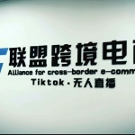 Tiktok无人直播，不出镜不剪辑不拍摄不发货无售后的跨境短视频躺赚玩法