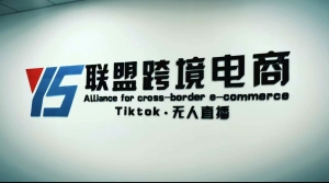 Tiktok无人直播,不出镜不剪辑不拍摄不发货无售后的跨境短视频躺赚玩法-司马网创基地