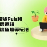 视频号·带货Puls班，视频号底层逻辑，起号自然流鱼塘等玩法