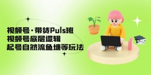 视频号·带货Puls班,视频号底层逻辑,起号自然流鱼塘等玩法-司马网创基地