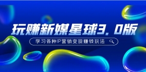 《玩赚新媒星球3.0版》学习各种IP营销变现赚钱玩法(价值498)-司马网创基地