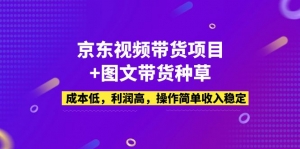 京东视频带货项目+图文带货种草,成本低,利润高,操作简单收入稳定-司马网创基地