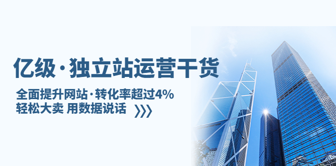 亿级·独立站运营干货：全面提升网站·转化率超过4%，轻松大卖 用数据说话