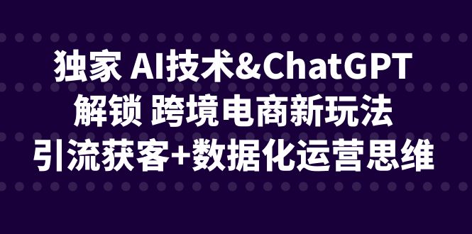 独家 AI技术&GPT解锁 跨境电商新玩法，引流获客+数据化运营思维