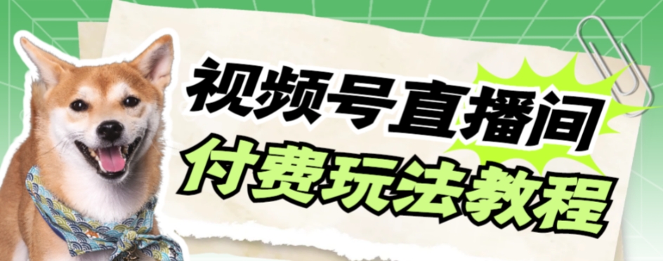 视频号美女付费无人直播，轻松日入500+【详细玩法教程】-司马网创基地