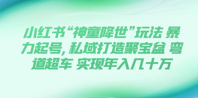 小红书“神童降世”玩法 暴力起号,私域打造聚宝盆 弯道超车 实现年入几十万-司马网创基地