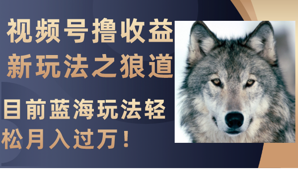 视频号撸收益新玩法之狼道,目前蓝海玩法轻松月入过万!-司马网创基地