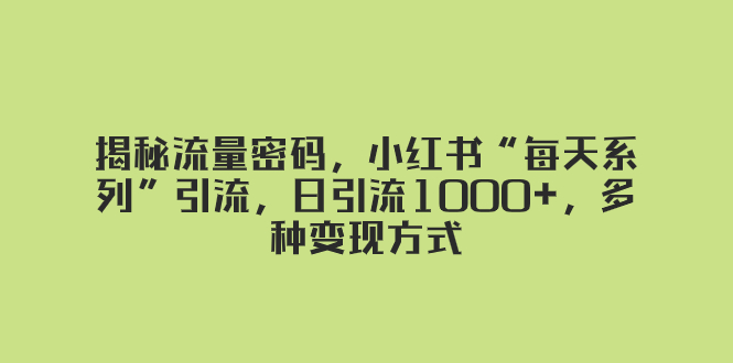 揭秘流量密码,小红书“每天系列”引流,日引流1000+,多种变现方式-司马网创基地