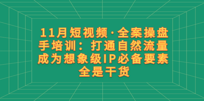 11月短视频·全案操盘手培训：打通自然流量 成为想象级IP必备要素 全是干货-司马网创基地