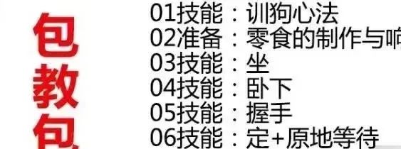 冷门训狗项目，操作简单，一单利润99 9935 作者:福缘资源库 帖子ID:104938 