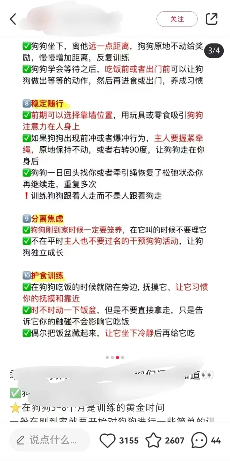 冷门训狗项目，操作简单，一单利润99 4212 作者:福缘资源库 帖子ID:104938 