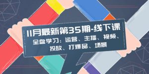 11月最新-35期–线下课：全盘学习：运营、主播、视频、投放、打爆品、场景