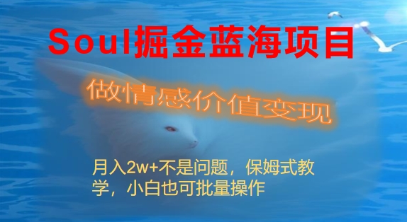 Soul掘金蓝海项目细分赛道,做情感价值变现,月入2w+不是问题-司马网创基地