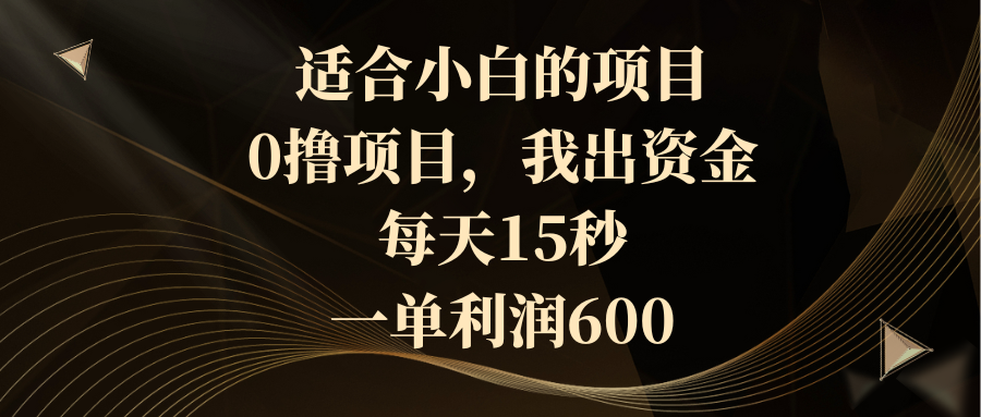 适合小白的项目,0撸项目,我出资金,每天15秒,一单利润600-司马网创基地