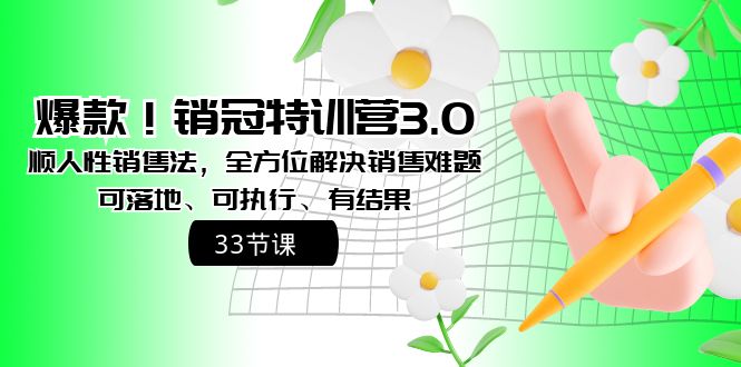 爆款!销冠特训营3.0之顺人性销售法,全方位解决销售难题、可落地、可执...-司马网创基地