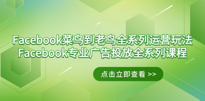 Facebook-菜鸟到老鸟全系列运营玩法+Facebook-专业广告投放全系列课程-司马网创基地