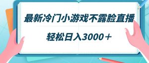 最新冷门小游戏不露脸直播，场观稳定几千，轻松日入3000＋