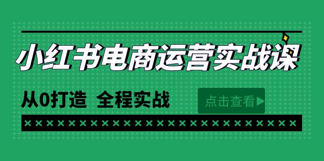 最新小红书·电商运营实战课，从0打造  全程实战（65节视频课）