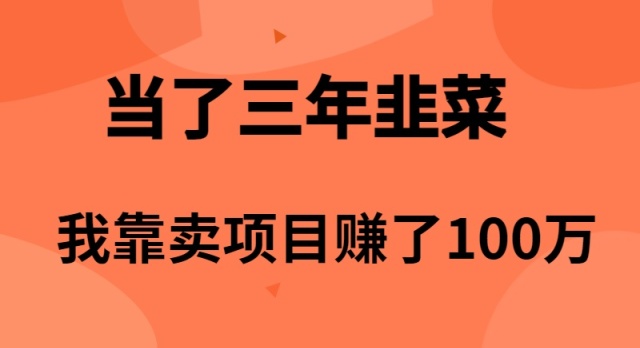 当了3年韭菜，我靠卖项目赚了100万