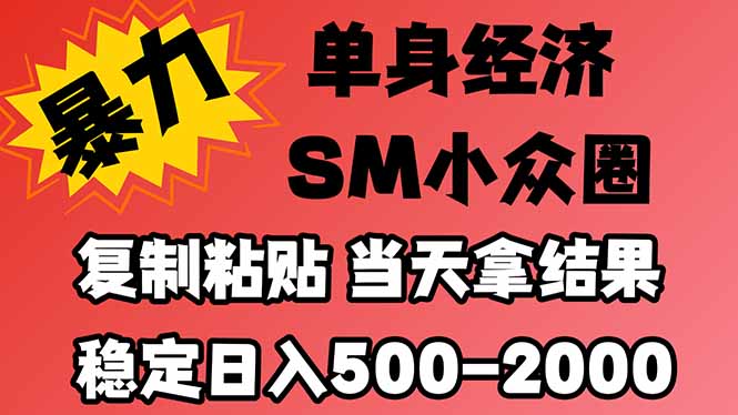 26年最新小众情感赛道，手机操作，小白也能当天上手，稳定日入1k+-司马网创基地